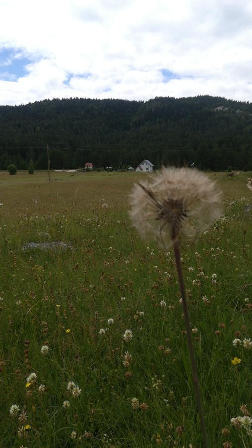 Villa Vikendica Borje Žabljak Esterno foto