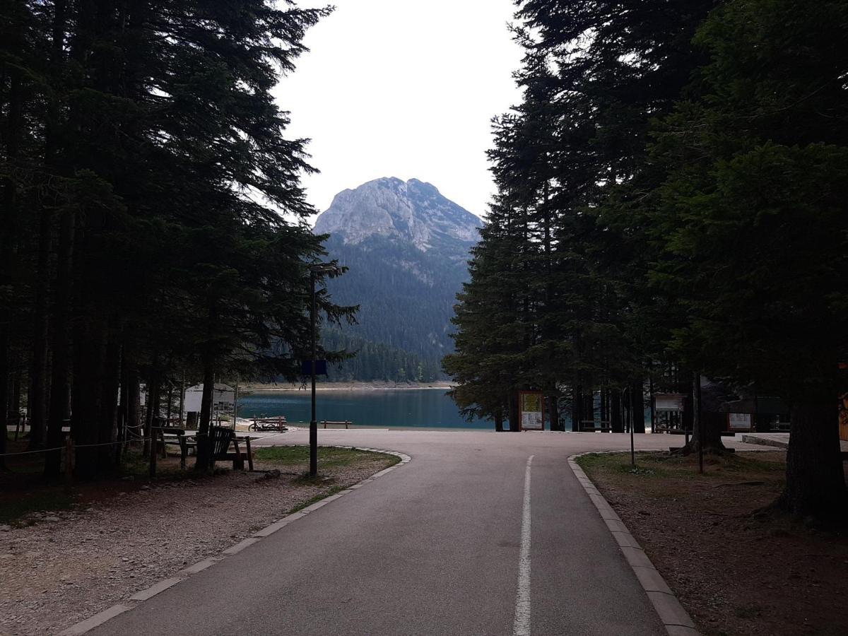 Villa Vikendica Borje Žabljak Esterno foto