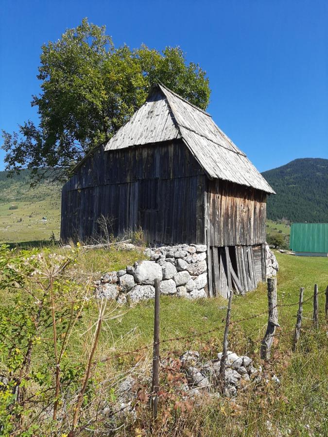 Villa Vikendica Borje Žabljak Esterno foto