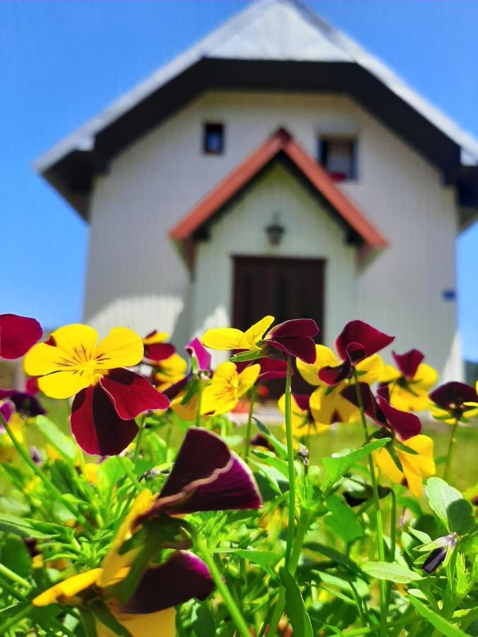 Villa Vikendica Borje Žabljak Esterno foto