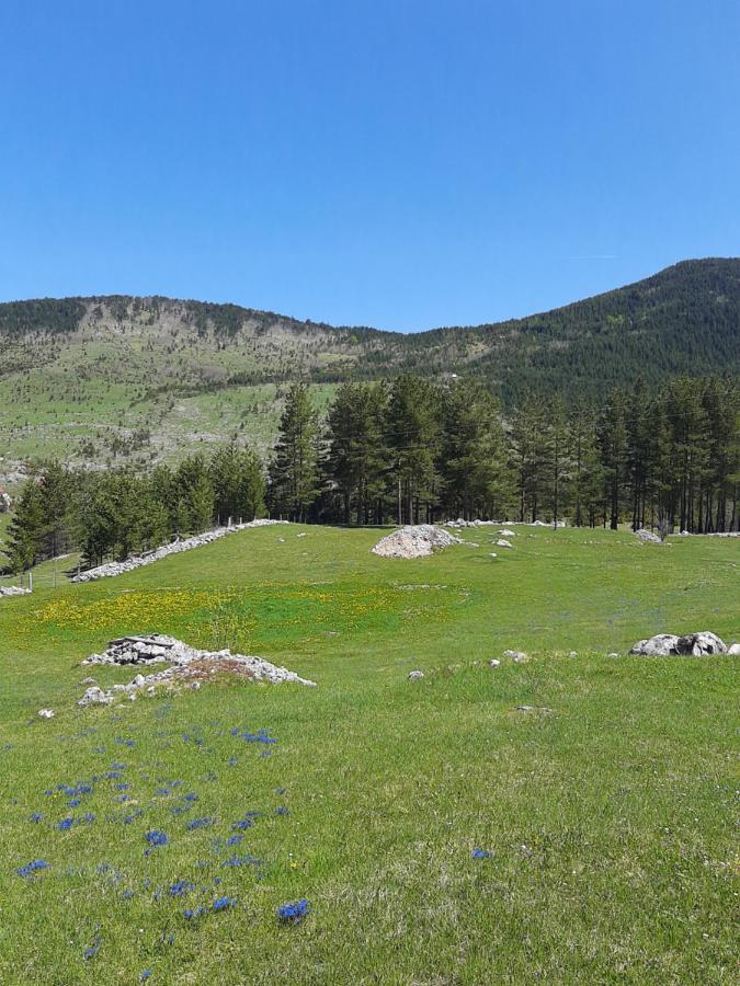 Villa Vikendica Borje Žabljak Esterno foto