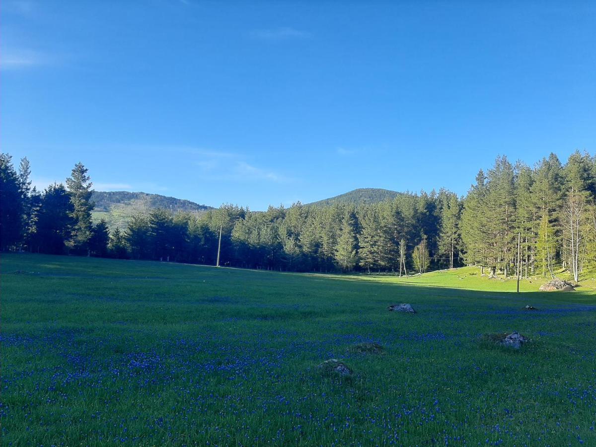 Villa Vikendica Borje Žabljak Esterno foto