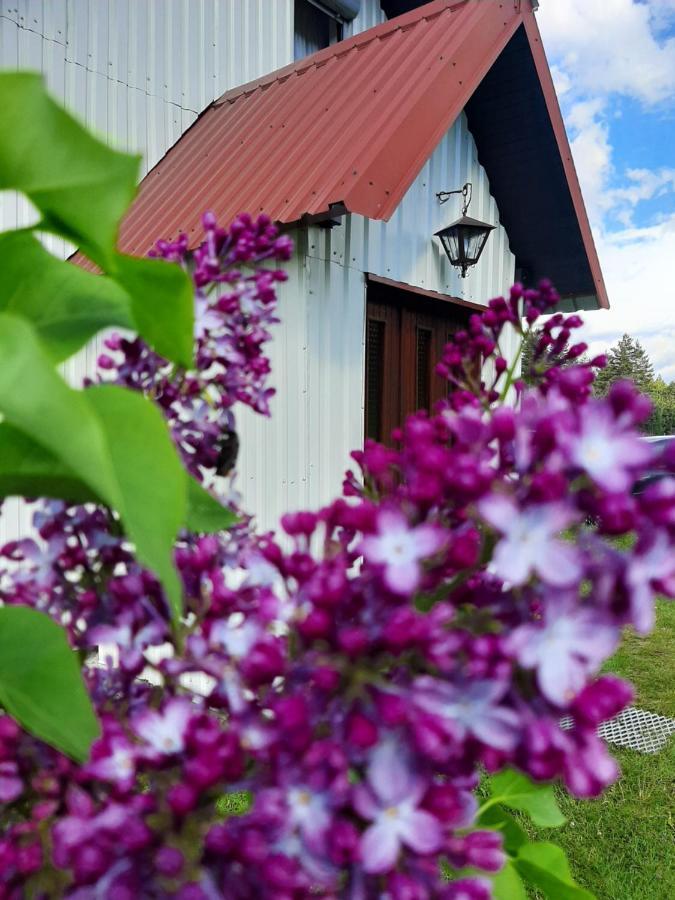 Villa Vikendica Borje Žabljak Esterno foto