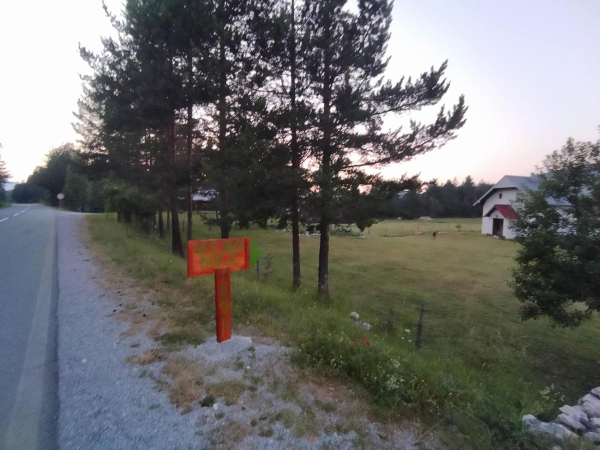 Villa Vikendica Borje Žabljak Esterno foto