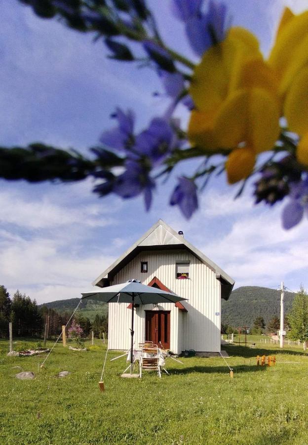 Villa Vikendica Borje Žabljak Esterno foto