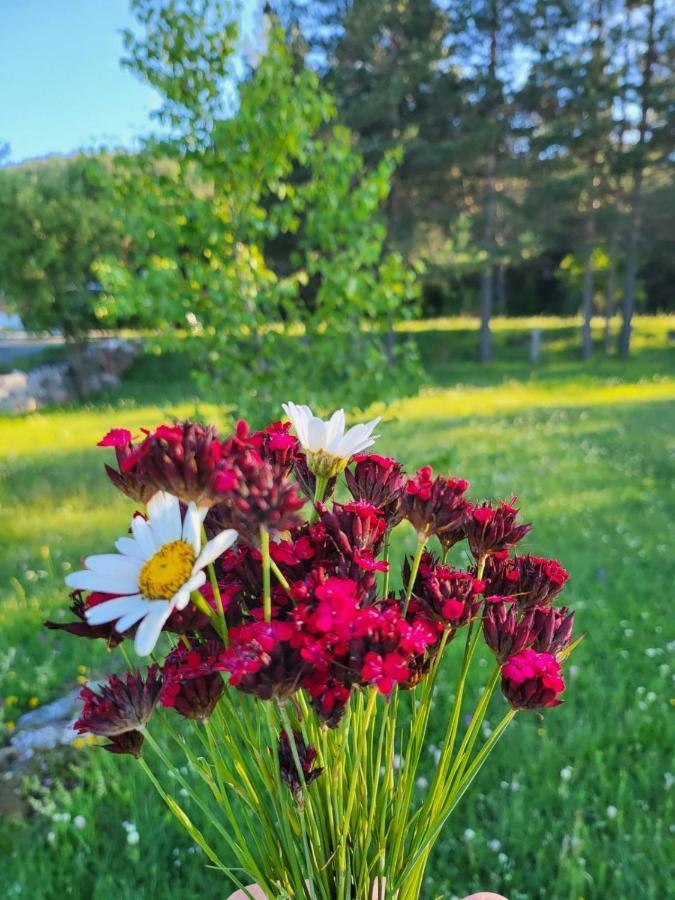 Villa Vikendica Borje Žabljak Esterno foto